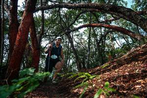 BIB: 
                            <button type="button" onclick="openModal(26346913)" class="btn btn-primary btn-sm float-right btn-popup" data-toggle="modal" data-target=".modal-high-quality">
                        <i class="fas fa-shopping-cart"></i> Add to Cart
                    </button>
                                            <button type="button" onclick="isThisMe(26346913, true)" class="btn btn-success btn-sm float-right btn-popup btn-isme hidden" data-toggle="tooltip" data-placement="bottom" title="นี่คือรูปของคุณใช่ไหม คลิกที่นี่เพื่อเอาเข้าอัลบั้ม">
                        <i class="fas fa-plus"></i> Add to album
                    </button>
                    <button type="button" onclick="isThisMe(26346913, false)" class="btn btn-warning btn-sm float-right btn-popup btn-isnotme hidden">
                        <i class="fas fa-ban"></i> Remove from album
                    </button>